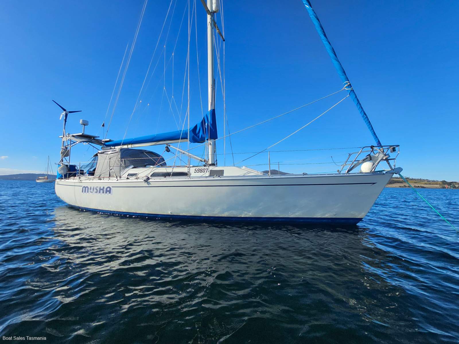 Cavalier 37 "Muska"