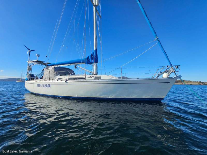 Cavalier 37 "Muska"