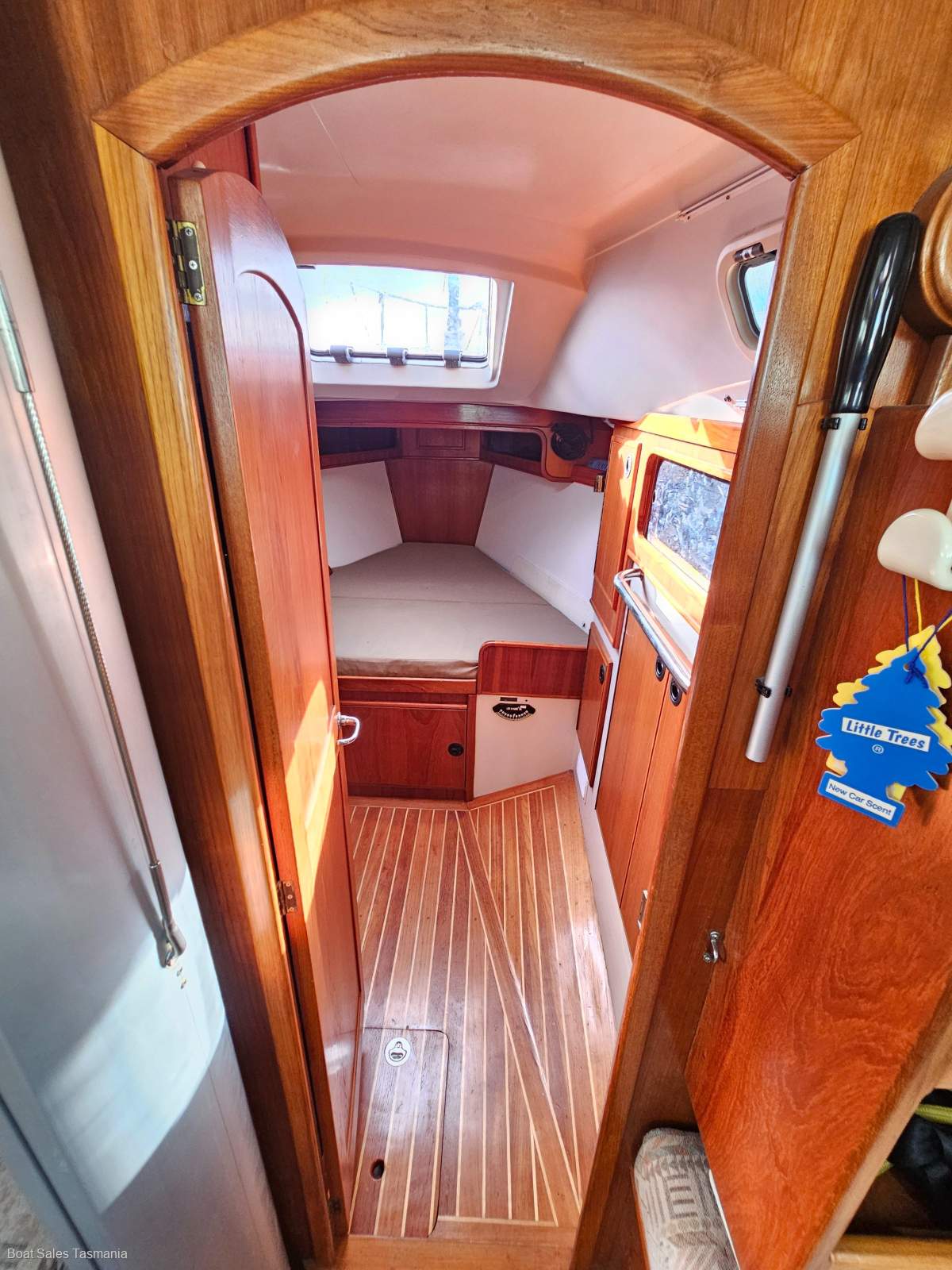 Cavalier 37 Muska