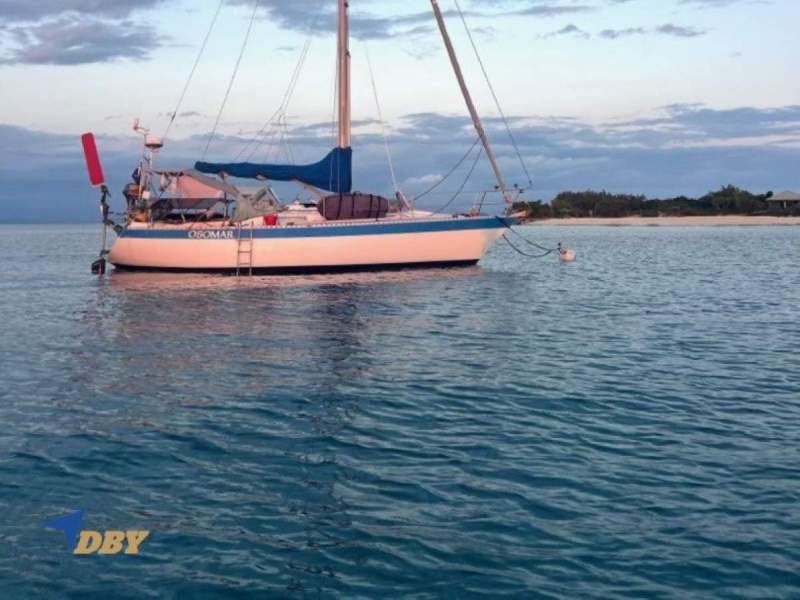 Wauquiez Gladiateur 33