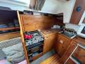 Wauquiez Gladiateur 33