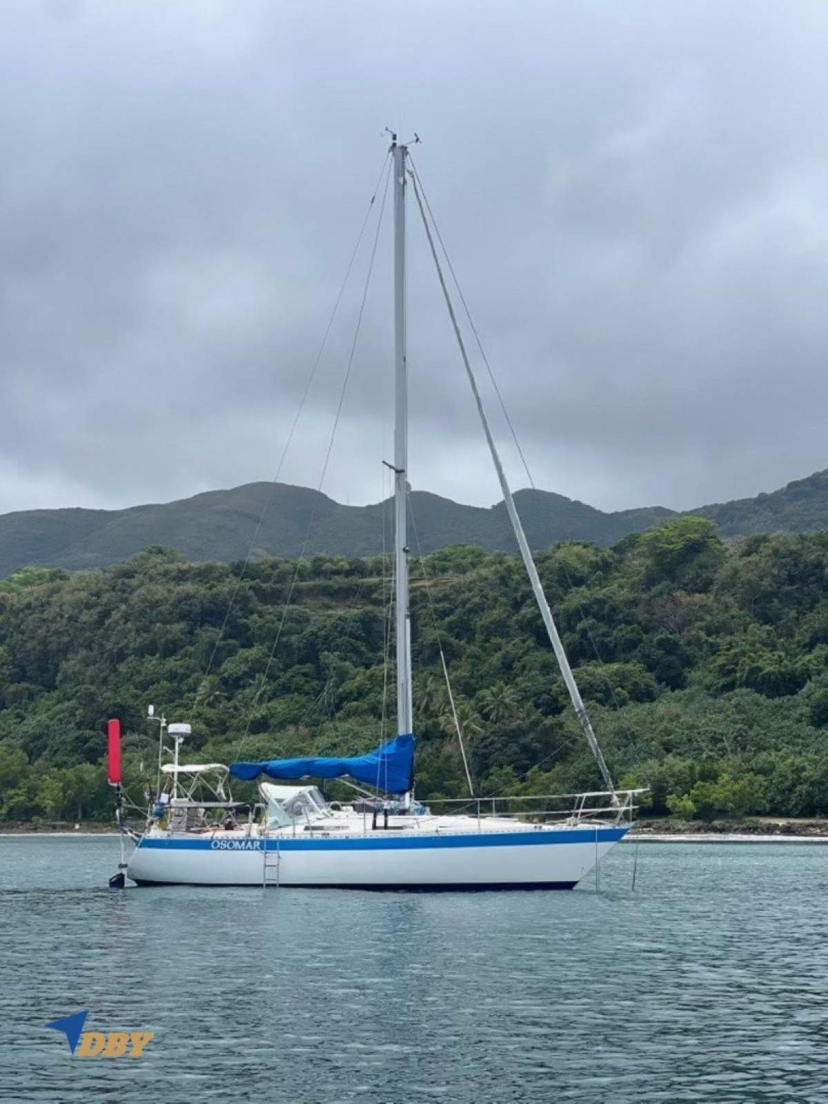 Wauquiez Gladiateur 33