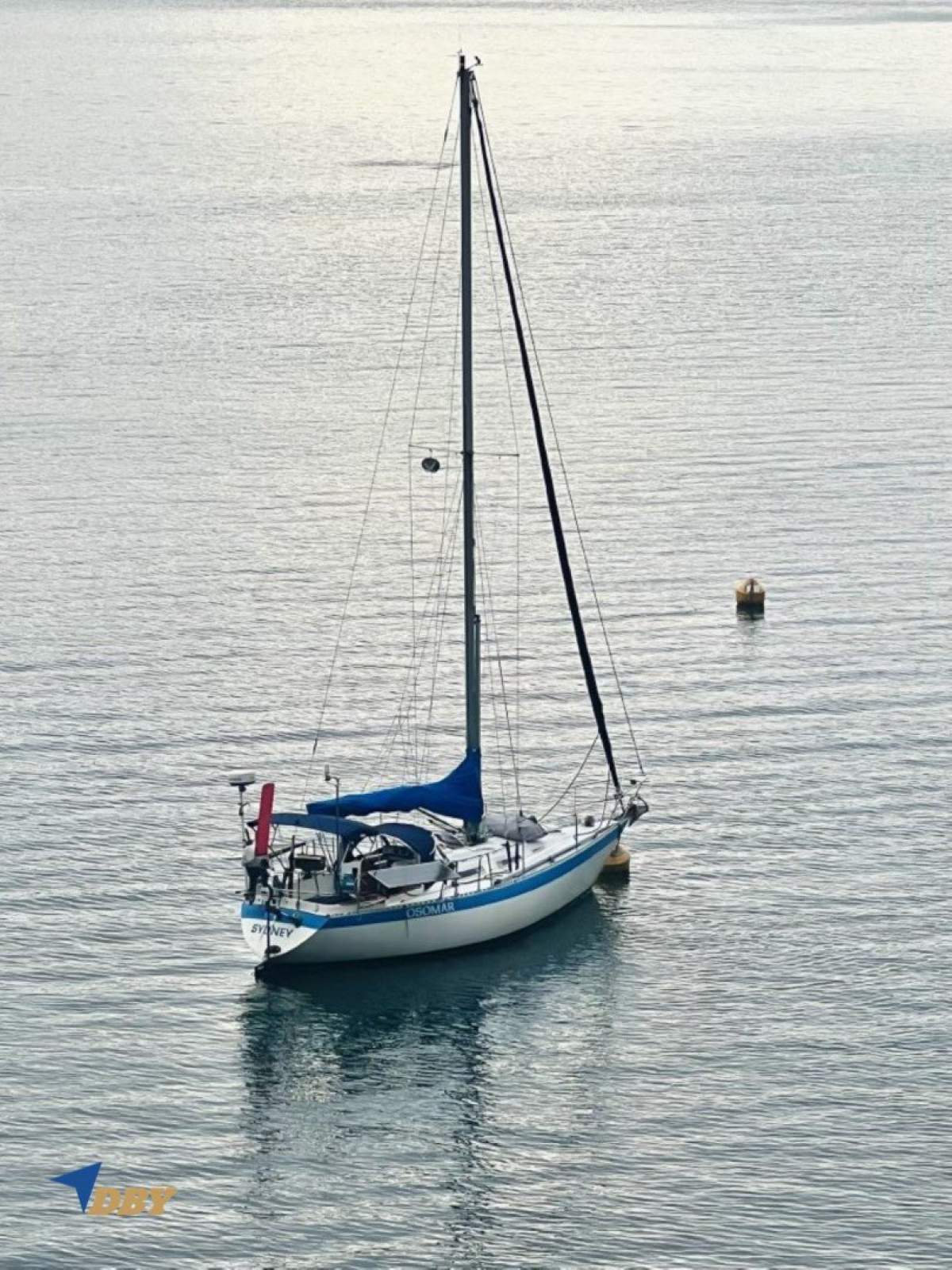 Wauquiez Gladiateur 33