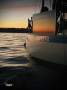 Wauquiez Gladiateur 33