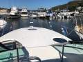 Wellcraft 3000 Martinique No Reserve beauty