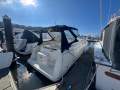 Wellcraft 3000 Martinique No Reserve beauty