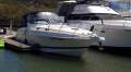 Wellcraft 3000 Martinique No Reserve beauty