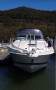 Wellcraft 3000 Martinique No Reserve beauty