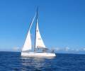 Dehler 38 Competition