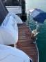 Riviera M430 Sports Cruiser TWIN DIESELS $$$$$$ SPENT