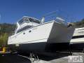 Brady Leopard 42 Powercat
