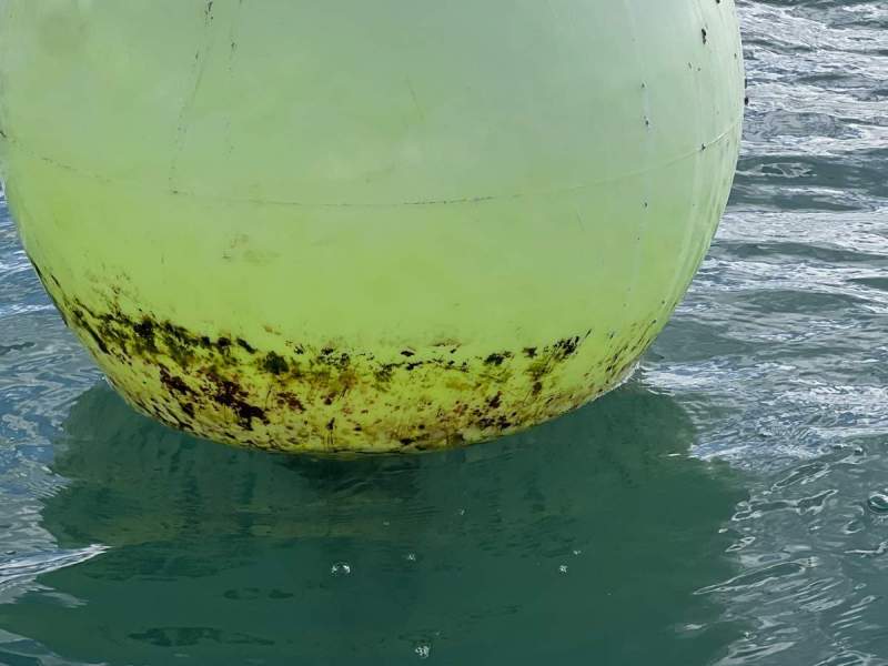 Mooring Able Point Grid 20 Ton