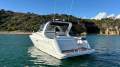 Mustang 3800 LE Sportscruiser