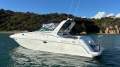 Mustang 3800 LE Sportscruiser