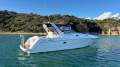 Mustang 3800 LE Sportscruiser