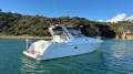 Mustang 3800 LE Sportscruiser