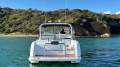 Mustang 3800 LE Sportscruiser