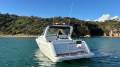 Mustang 3800 LE Sportscruiser