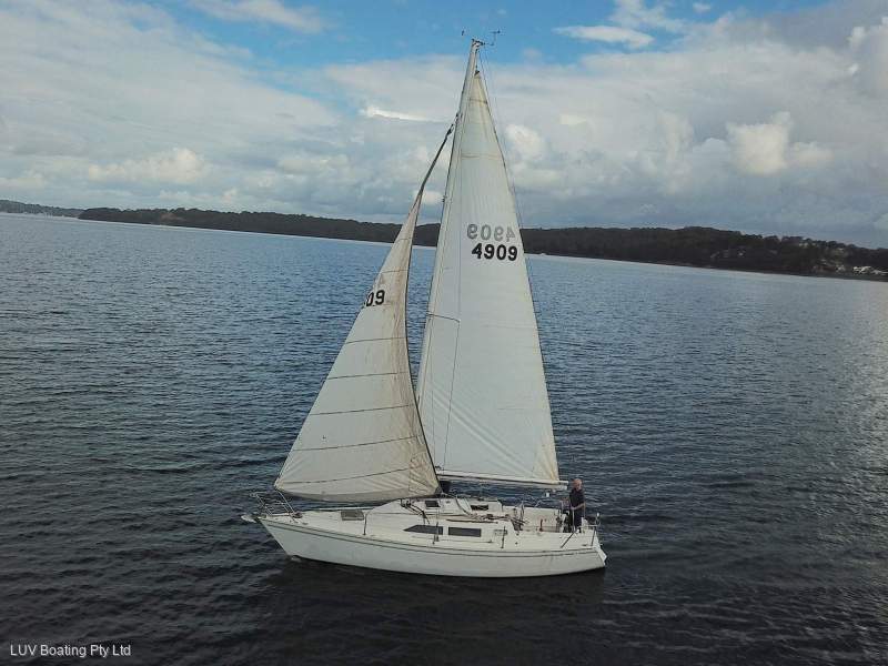 Northshore 31