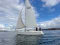 Northshore 31