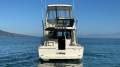 Steber 36 Flybridge