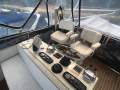 Bertram Caribbean 35