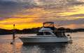 Bertram Caribbean 35