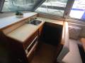 Bertram Caribbean 35
