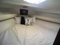 Bertram Caribbean 35