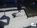 Eagle Catamaran 50 Houseboat