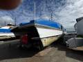 Ex Brisbane City Ferry "Kurilpa" - Must Be Sold