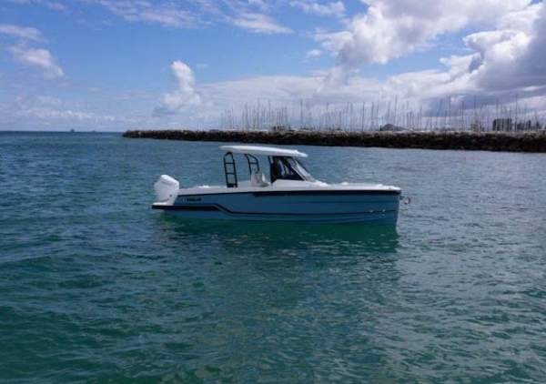 Wellcraft 28 T-Top