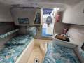 Seaswirl Striper 2601 Walk Around