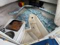 Seaswirl Striper 2601 Walk Around