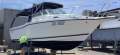 Seaswirl Striper 2601 Walk Around