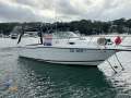 Seaswirl Striper 2601 Walk Around