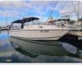 Seaswirl Striper 2601 Walk Around