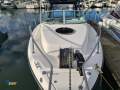 Seaswirl Striper 2601 Walk Around