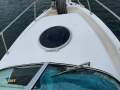 Seaswirl Striper 2601 Walk Around