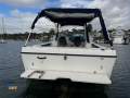 Seaswirl Striper 2601 Walk Around