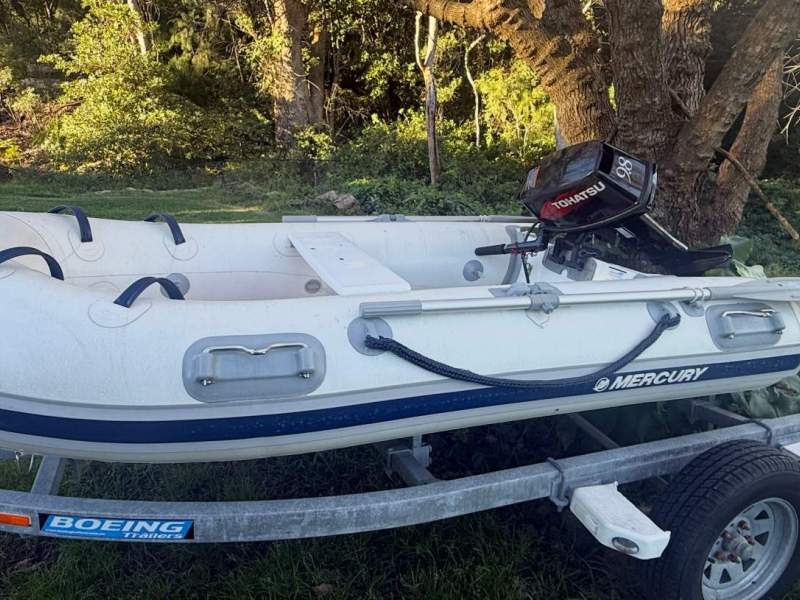 Mercury 270 Dynamic RIB Full hypalon tender package, with rails for swim p