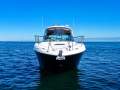 Sea Ray 355 Sundancer