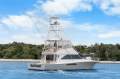 Viking 48 Convertible