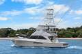 Viking 48 Convertible