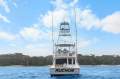 Viking 48 Convertible