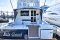 Riviera 51 Enclosed Flybridge