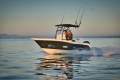 New CruiseCraft F360S