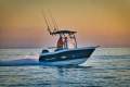 New CruiseCraft F360S
