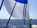 Outremer 51