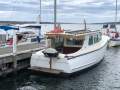 Custom 32' Timber Cruiser
